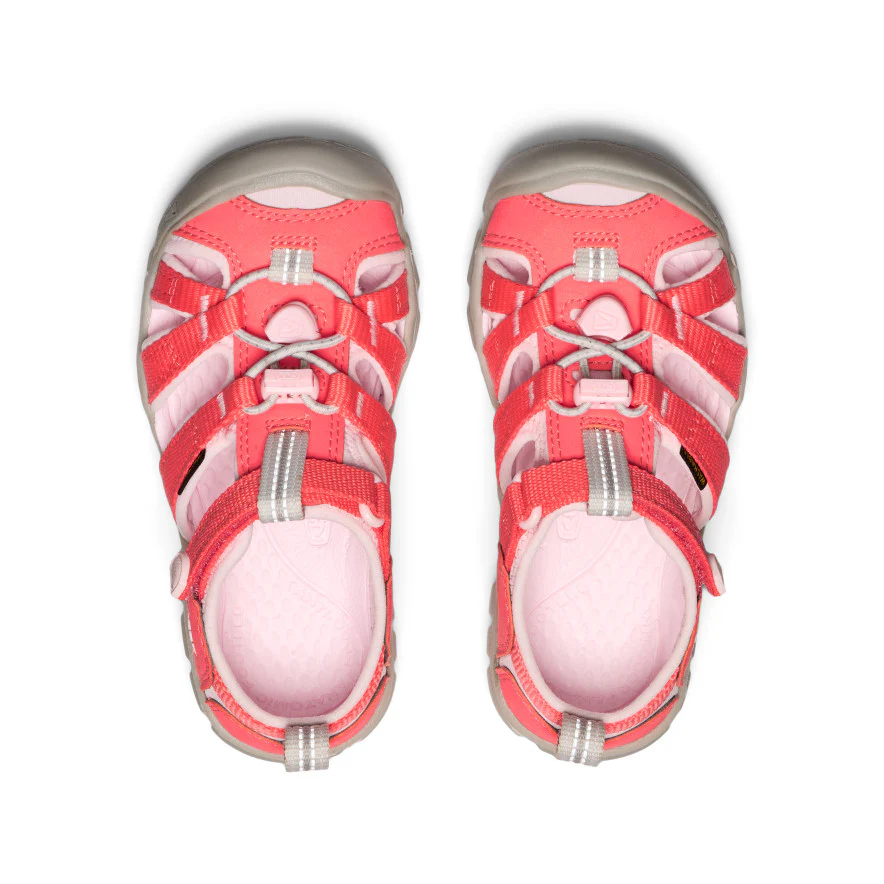 Little Kids' Seacamp II CNX | Dubarry/Giggle Pink - Image 3