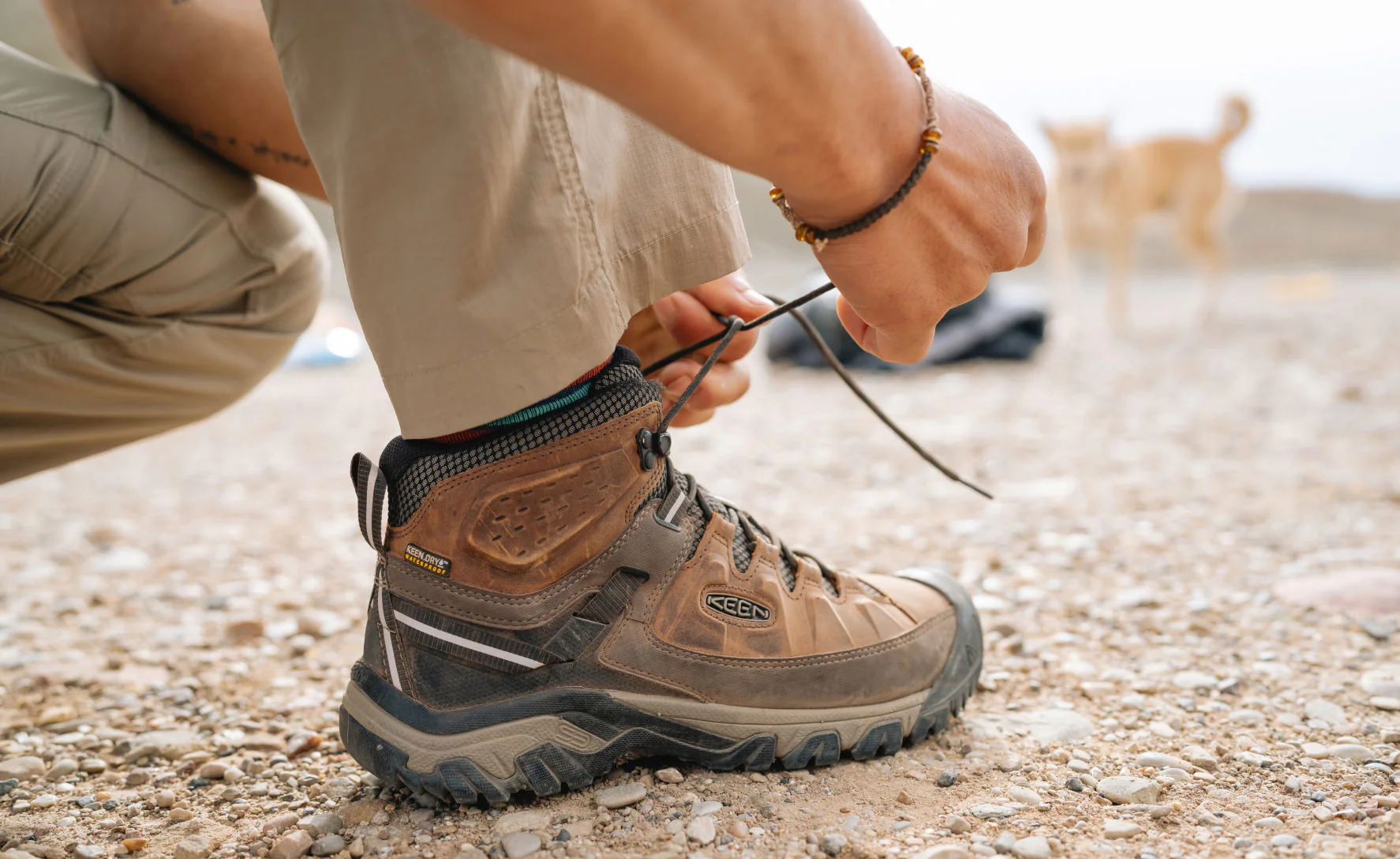 Men's Targhee III Waterproof Mid  |  Black Olive/Golden Brown - Image 6
