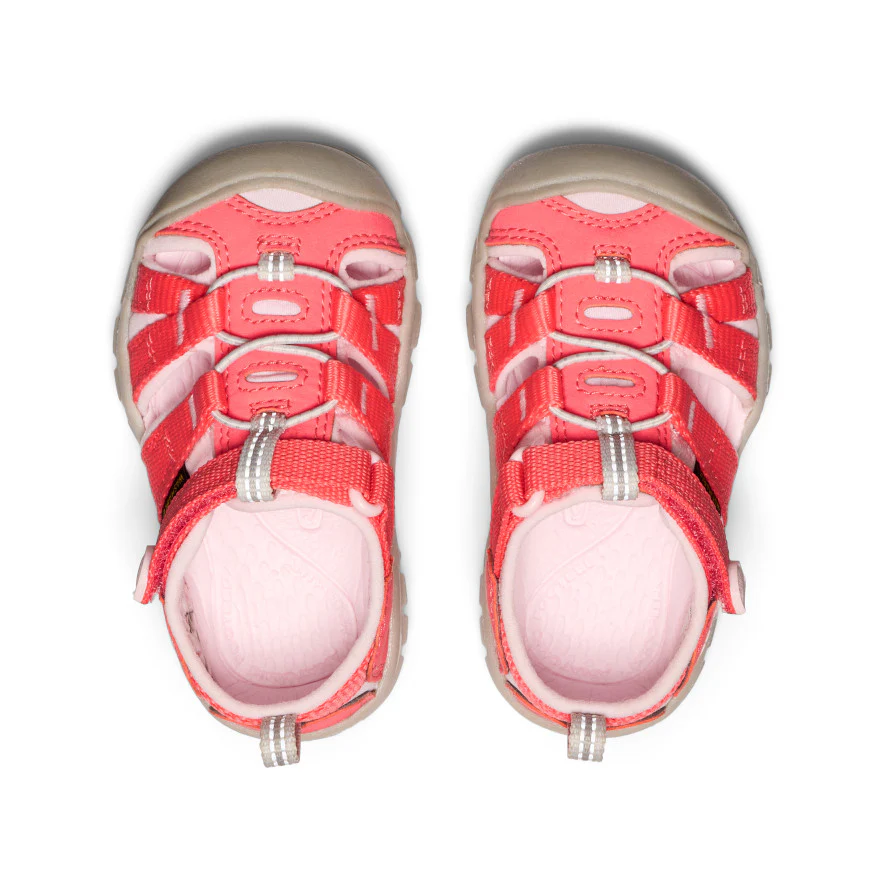 Toddlers' Seacamp II CNX  |  Dubarry/Giggle Pink - Image 4