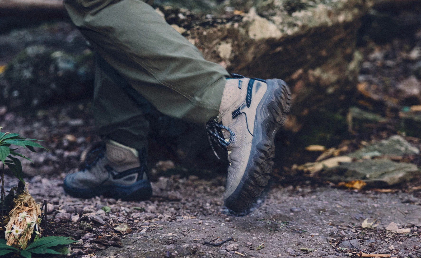 Women's Targhee IV Waterproof Hiking Boot  |  Steel Grey/Lily Pad - Image 7
